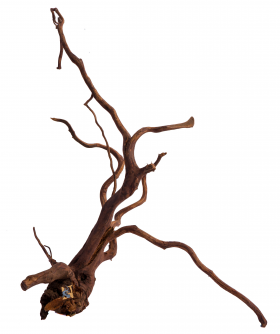 Aqua Globe AQUAGLOBE Bois d'Amazonie