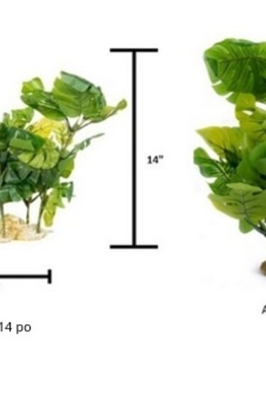 Aqua Globe AQUAGLOBE Plante en soie Monstera