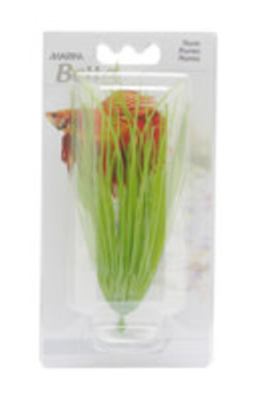 Marina MARINA 12080 Deschampsie pour aquarium pour betta avec ventouse, 12,7 cm (5 po)