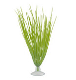 Marina MARINA 12080 Deschampsie pour aquarium pour betta avec ventouse, 12,7 cm (5 po)