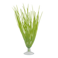 Marina MARINA 12080 Deschampsie pour aquarium pour betta avec ventouse, 12,7 cm (5 po)