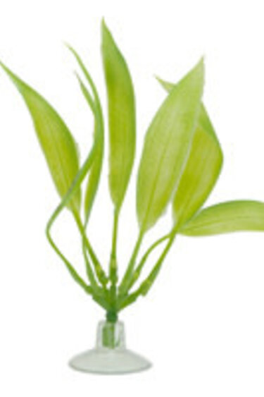Marina MARINA 12079 Plante-épée amazone pour aquarium  pour betta, 12,7 cm (5 po)