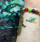 Magazoo Gecko caméléon (Vieillardi) Mâle Juvénile