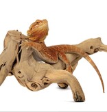 Galapagos GALAPAGOS GA-05525 Bois qui marche 19-24 po