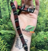 Magazoo Milk snake black #2