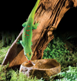 Exoterra Gecko Dish / Combo Water & Feeding Dish 3.5 X 1.5 X 4.9 ”
