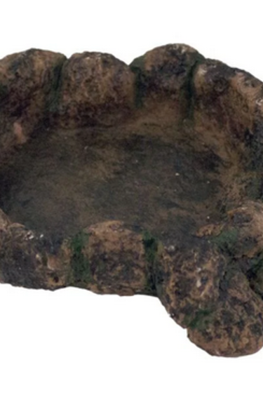 Aqua Globe AQUAGLOBE AQ-RDL Grand Plat pour Reptile