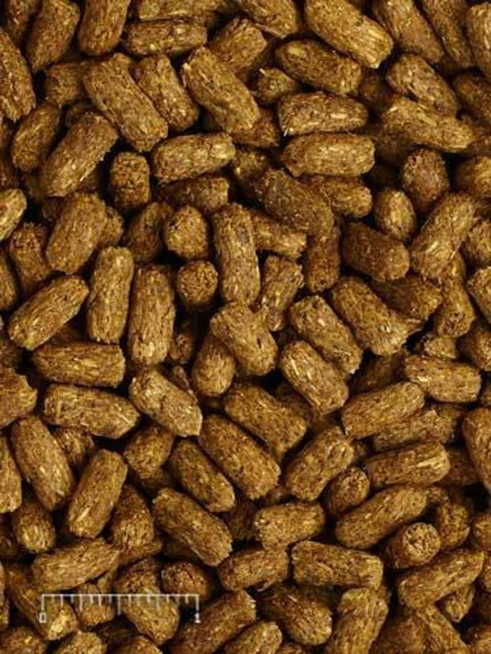 Mazuri Mazuri Tortoise LS Diet - 12 oz Bag