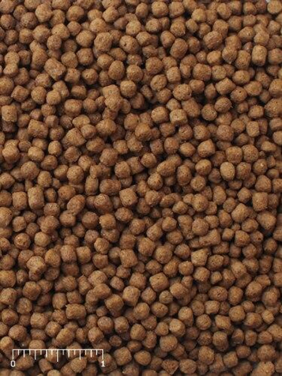 Mazuri Mazuri Aquatic Turtle Diet - 12 oz Bag