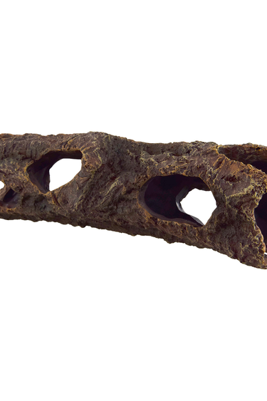 Reptiles treasures Bark Hide with Holes