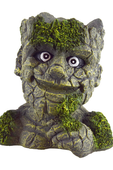 Treasures underwater UNDERWATER TREASURES 76793 Visage de pierre souriant