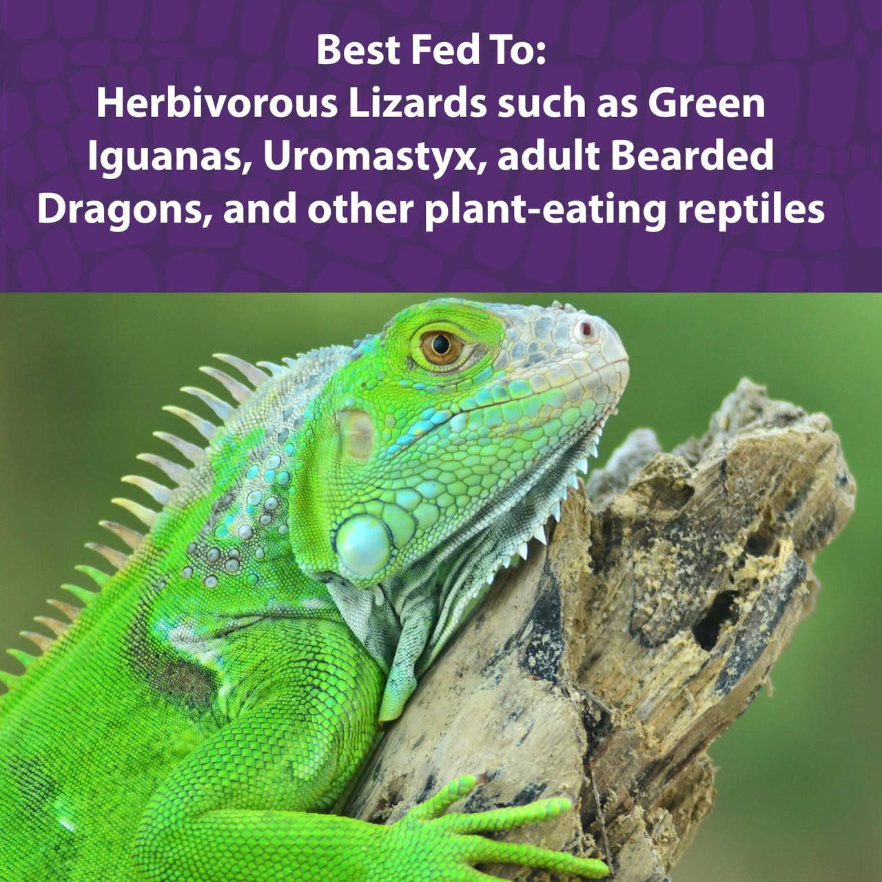 Mazuri Mazuri Herbivorous Reptile Diet