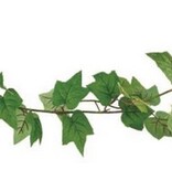 ReptiZoo REPTIZOO TP084 Plante de Terrarium Adhésive Magnétique (Feuilles de Vigne) 25"