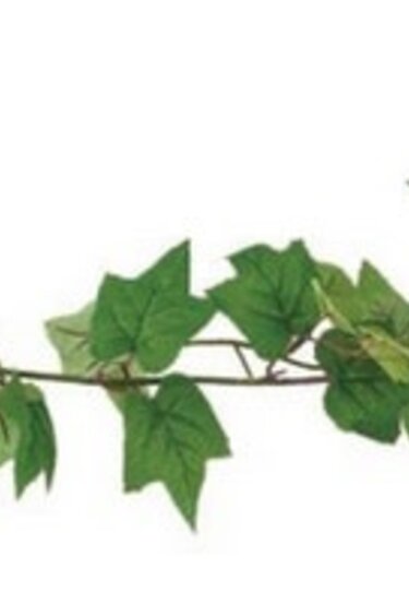 ReptiZoo REPTIZOO TP084 Plante de Terrarium Adhésive Magnétique (Feuilles de Vigne) 25"