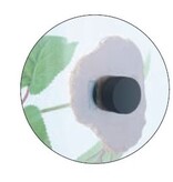 ReptiZoo REPTIZOO TP084 Plante de Terrarium Adhésive Magnétique (Feuilles de Vigne) 25"