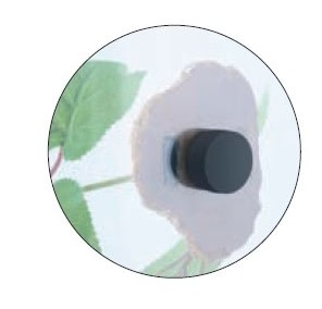 ReptiZoo REPTIZOO TP084 Plante de Terrarium Adhésive Magnétique (Feuilles de Vigne) 25"