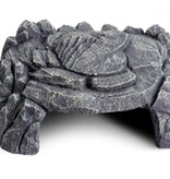 ReptiZoo REPTIZOO RZ-EHR34 Plateau d'alimentation et cachette magnétique 3 en 1 roche grise