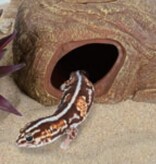 ReptiZoo 2 Holes multi-fontion hiding cave