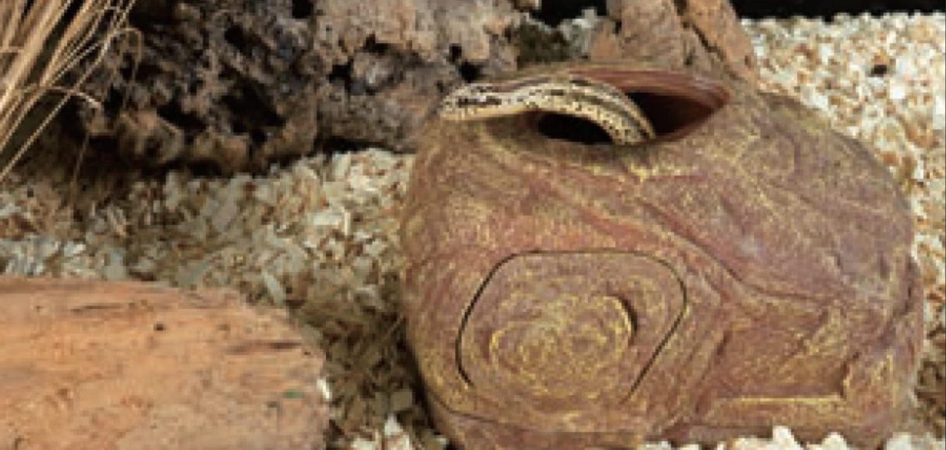 ReptiZoo 2 Holes multi-fontion hiding cave