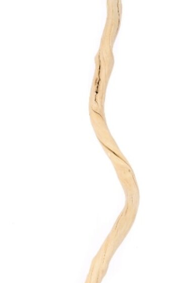 NewCal Pets Dula stick 38"