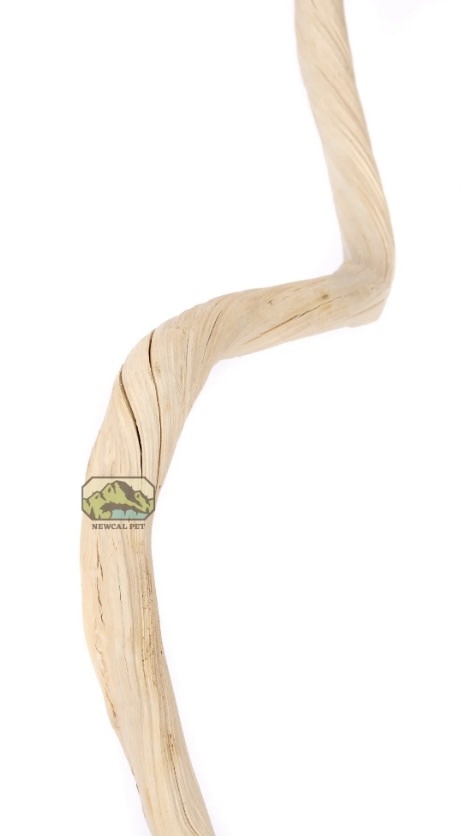 NewCal Pets Branche De Dula Naturelle 38'' NC-DLS