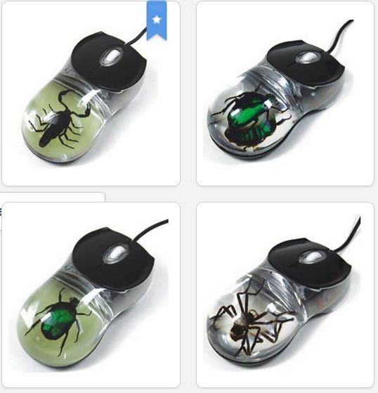 Souris D Ordinateur Magazoo L Univers Des Reptiles