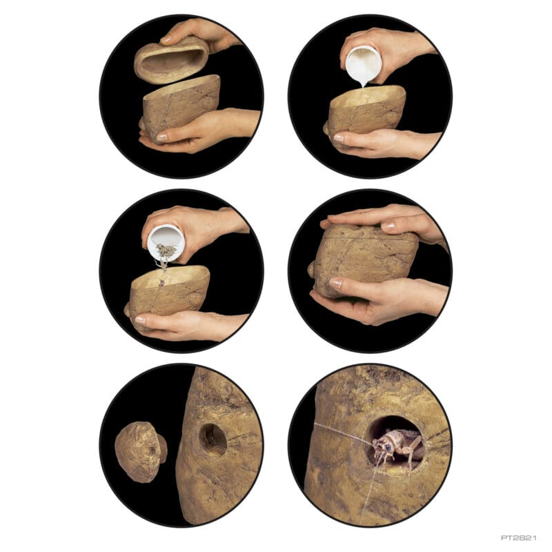 Exoterra EXO TERRA PT2821 Distributeur de grillons