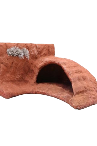 Reptiles treasures Ceramic Caves Dome