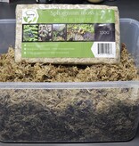 La Swamp LA SWAMP 1086 Mousse de spaighne compressé de 150g