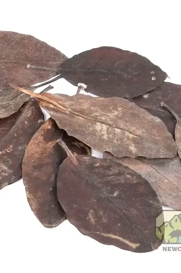 NewCal Pets Mangrove Mix Size Leaves 10-pack