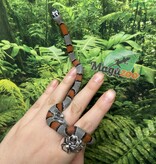 Magazoo Baby 2024 Grey-banded king snake #1