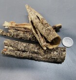 La Swamp LA SWAMP 1246 Écorces rondes Catappa 50gBarks