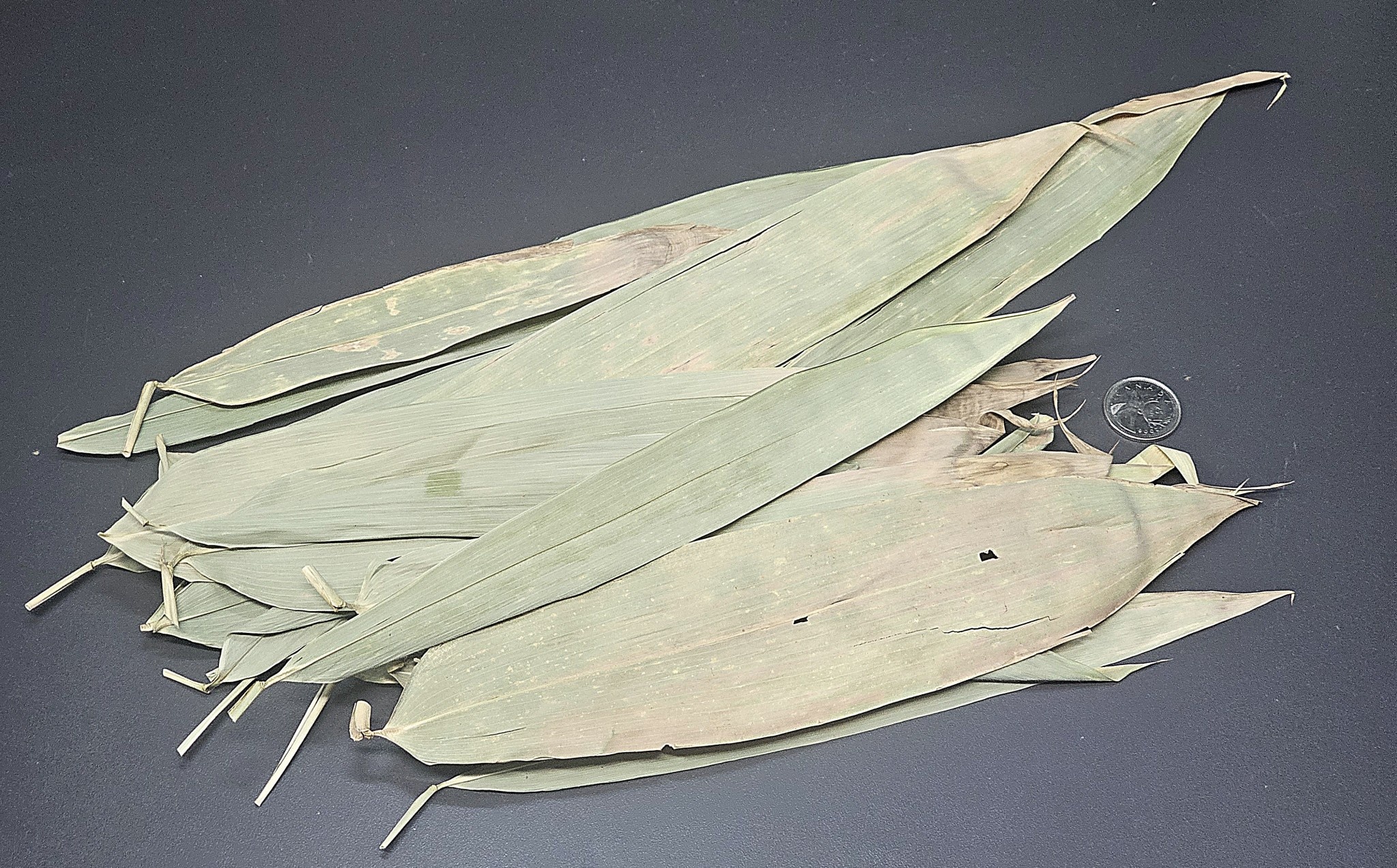 La Swamp Natural bamboo leaves 1.0 oz