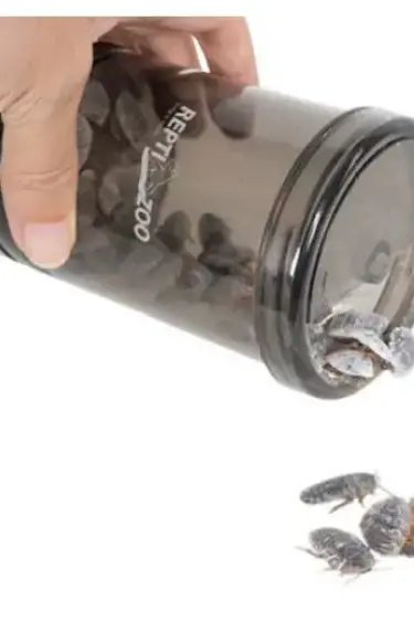 ReptiZoo Reptile Cricket & Powder Mixer