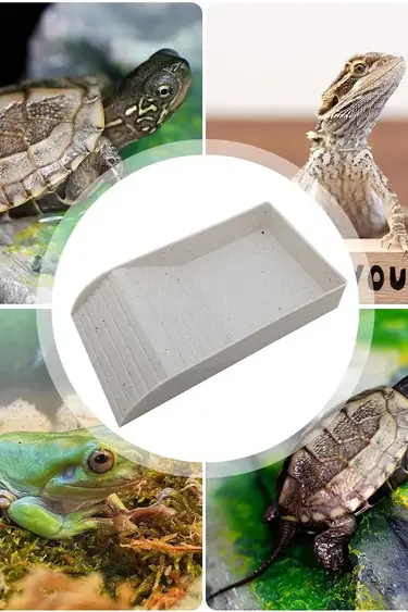 ReptiZoo REPTIZOO RZ-GK11 Plat à eau multifonction pour tortue 14 X 8 X 2.4 po