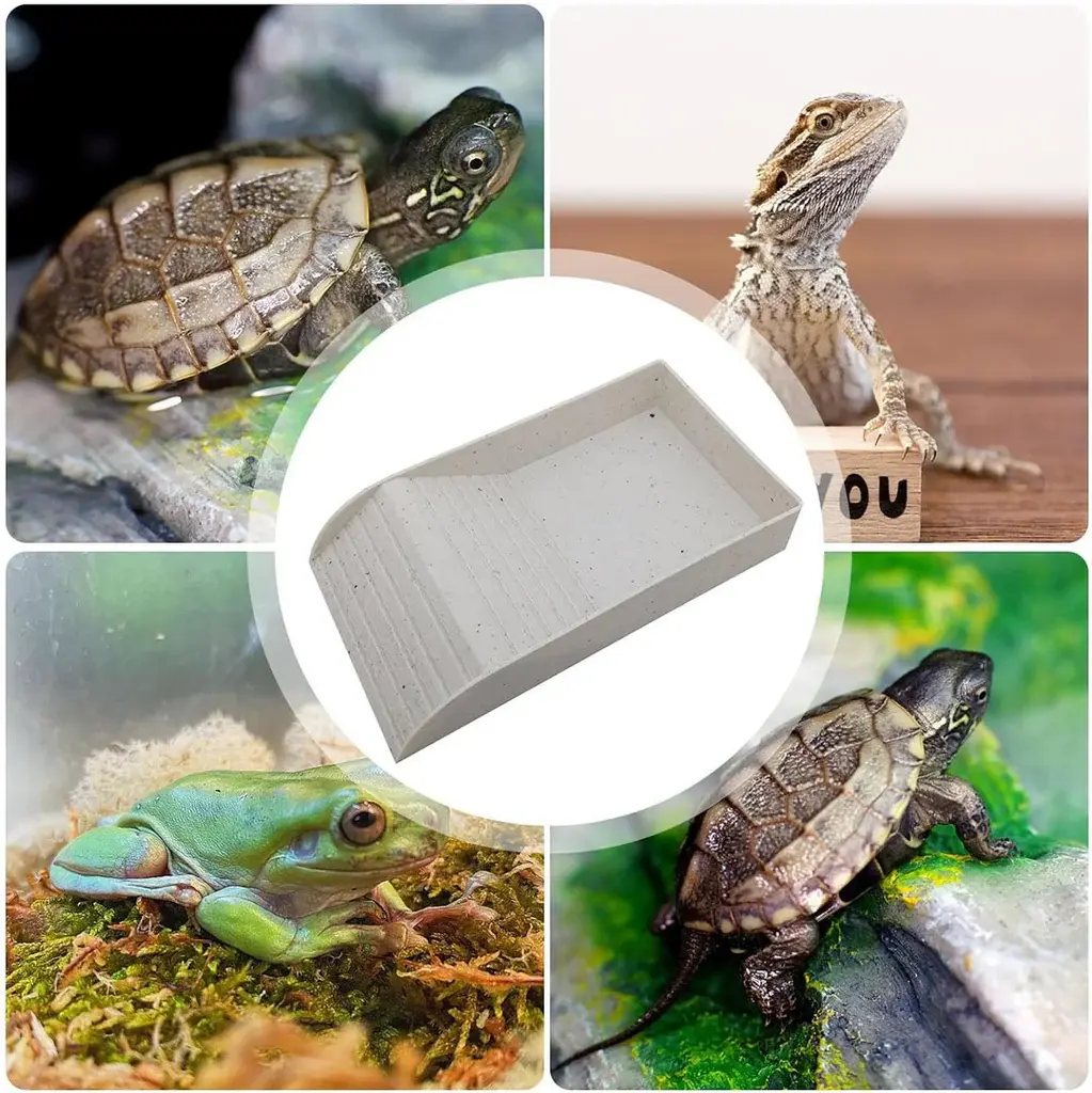 ReptiZoo REPTIZOO RZ-GK11 Plat à eau multifonction pour tortue 14 X 8 X 2.4 po