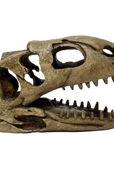 TheBio Dude THE BIO DUDE NSWS-98 Décor Dino - T-Rex