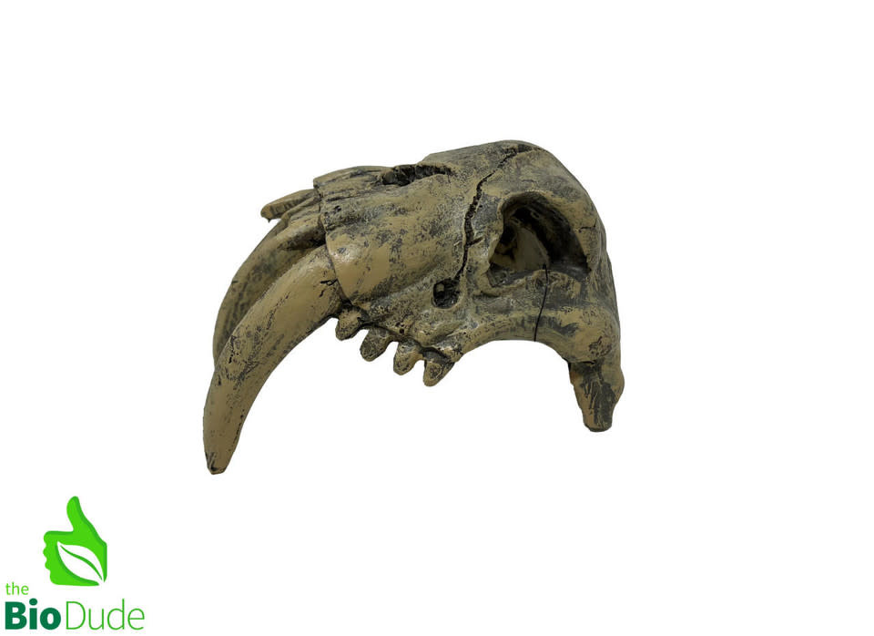 TheBio Dude Dino Decor - Sabertooth Tiger