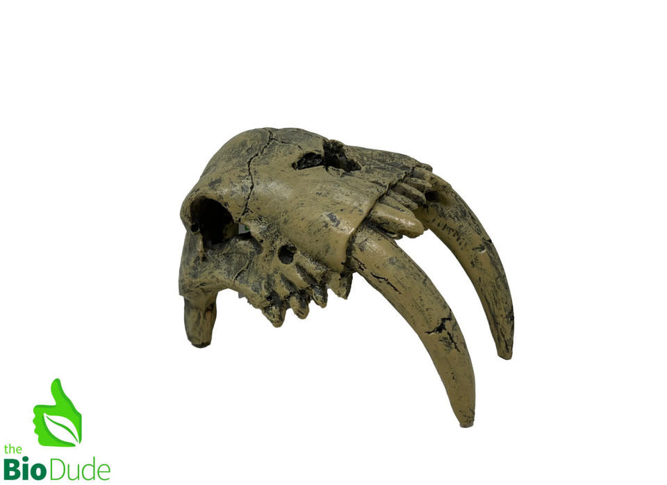 TheBio Dude Dino Decor - Sabertooth Tiger