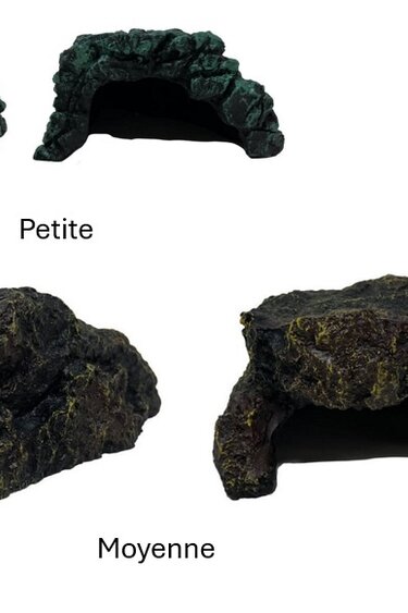 TheBio Dude THE BIO DUDE Refuge rocheux