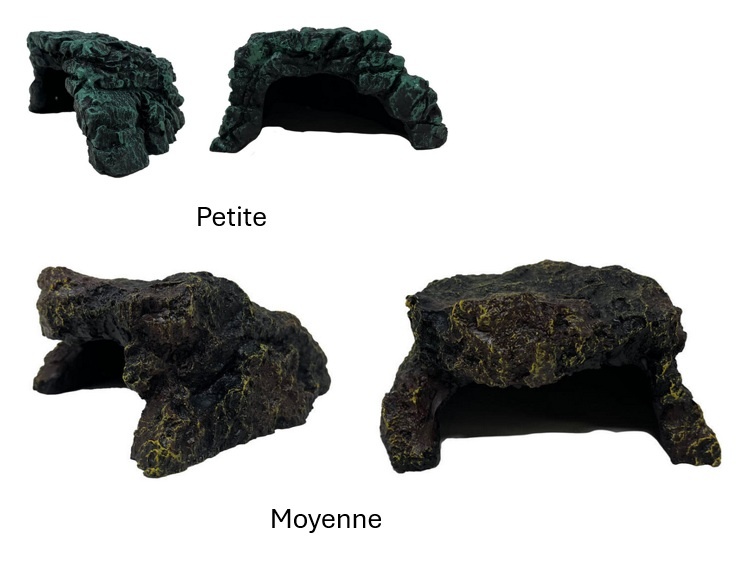 TheBio Dude THE BIO DUDE Refuge rocheux