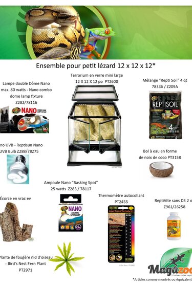Magazoo Ensemble pour petit lézard 12 x 12 x 12