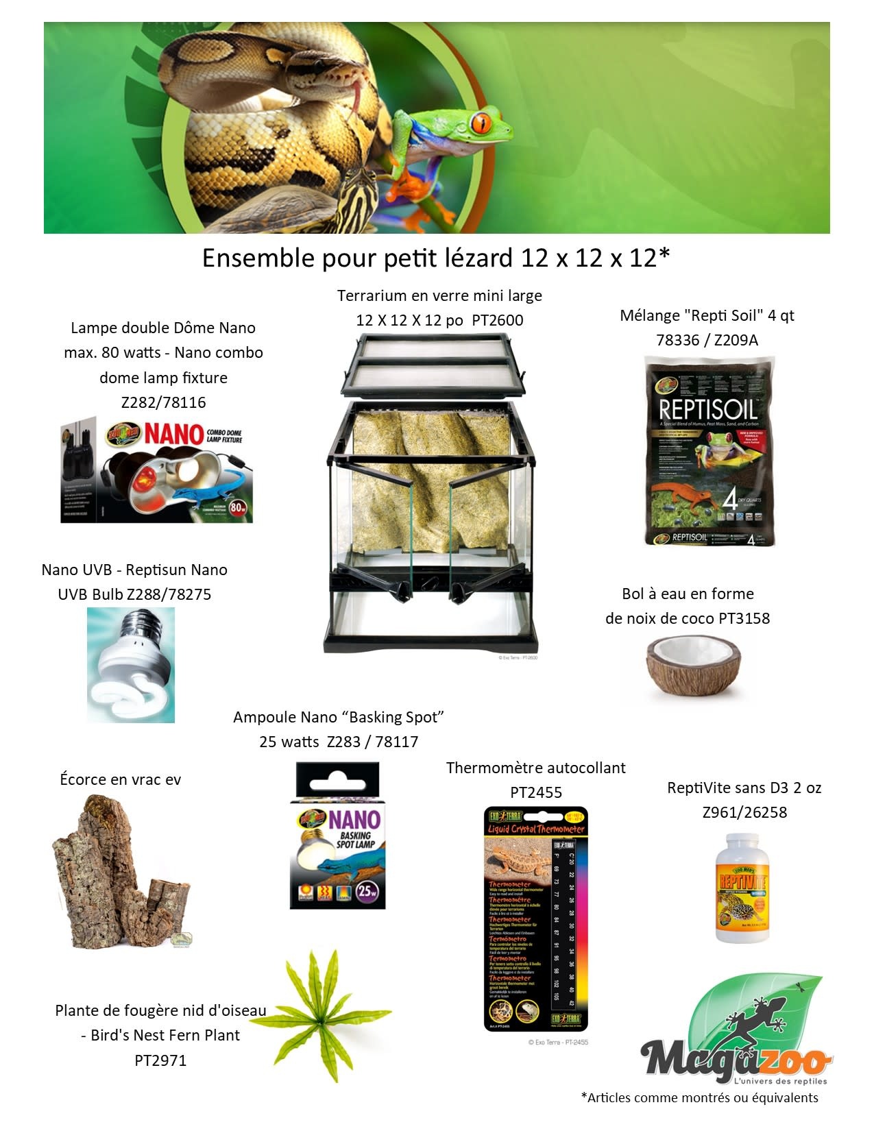 Magazoo Small Lizard Kit 12 x 12 x 12