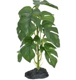 Komodo Standing monstera plant - Small 10"