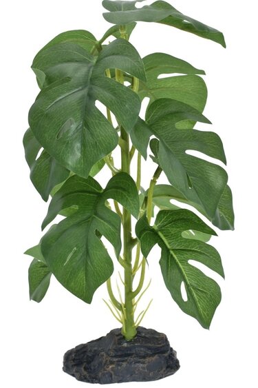 Komodo KOMODO KD-93378 Plante monstera petite 10"
