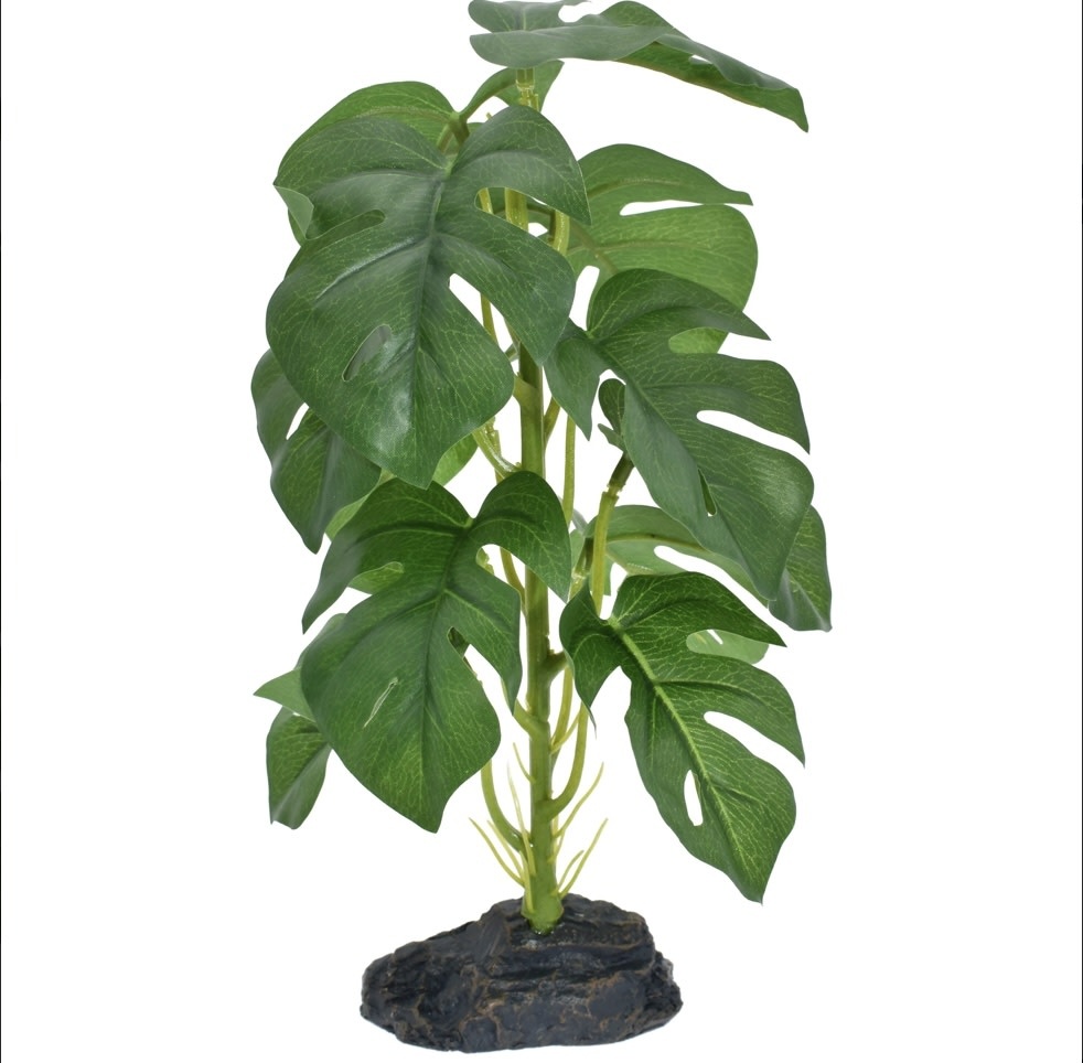 Komodo KOMODO KD-93378 Plante monstera petite 10"