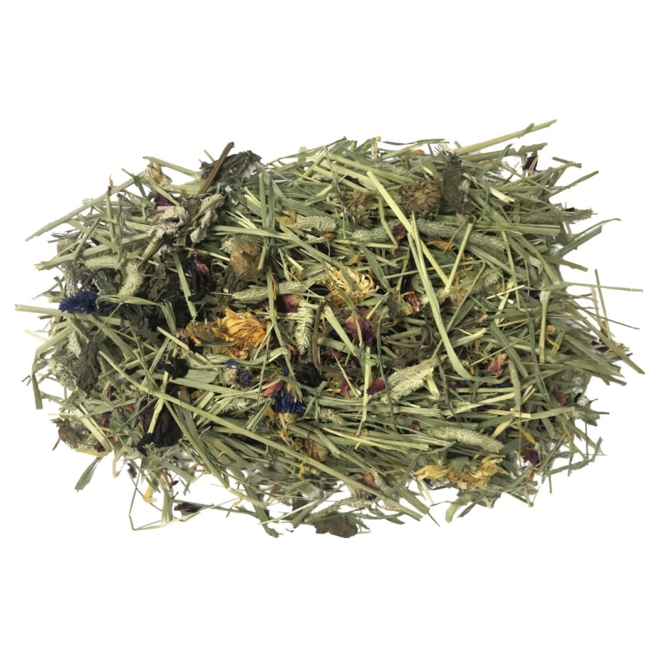 Komodo KOMODO KD-93175 Foin aux fleurs sauvages pour tortue 24 oz