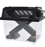 Komodo Cricket Keeper Box