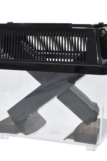 Komodo Cricket Keeper Box