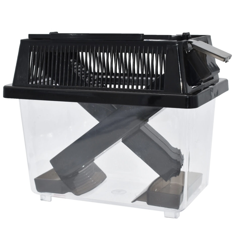 Komodo Cricket Keeper Box